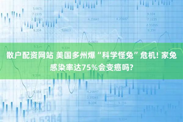 散户配资网站 美国多州爆“科学怪兔”危机! 家兔感染率达75%会变癌吗?